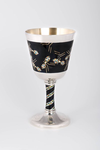 Professor Richard Himsworth's Court Cup by Maureen Edgar